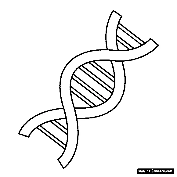 Dna Coloring Page
