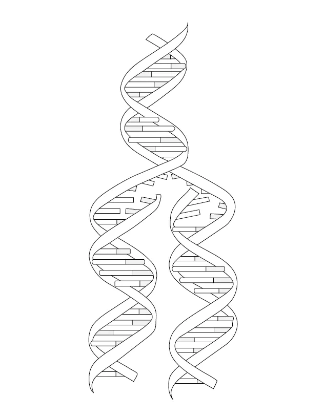 Dna Coloring Coloring Pages