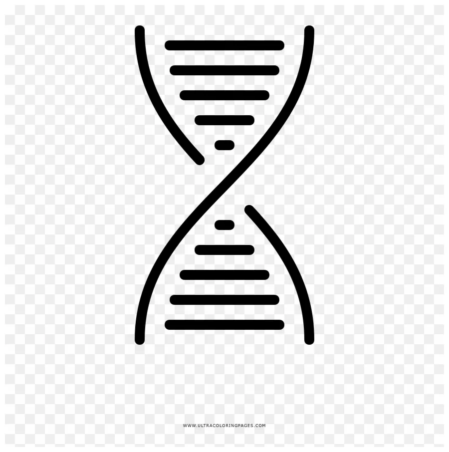 Dna Coloring Page - Dna Clipart (#1732258) - PinClipart