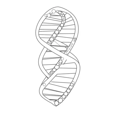 Dna Structure Coloring Sheet Coloring Pages