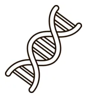 DNA Strand Model coloring page | Free Printable Coloring Pages