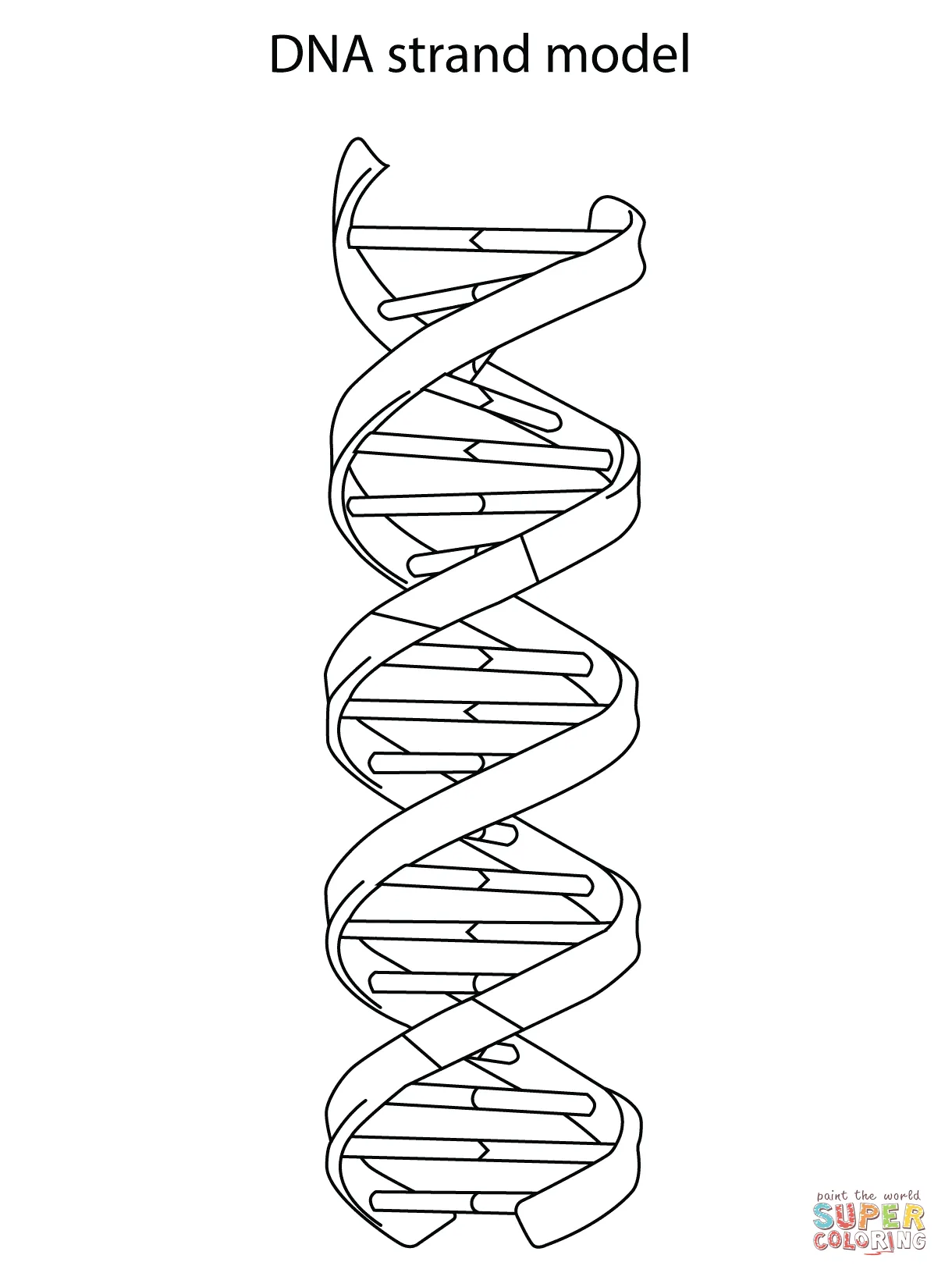 DNA Strand Model coloring page | Free Printable Coloring Pages