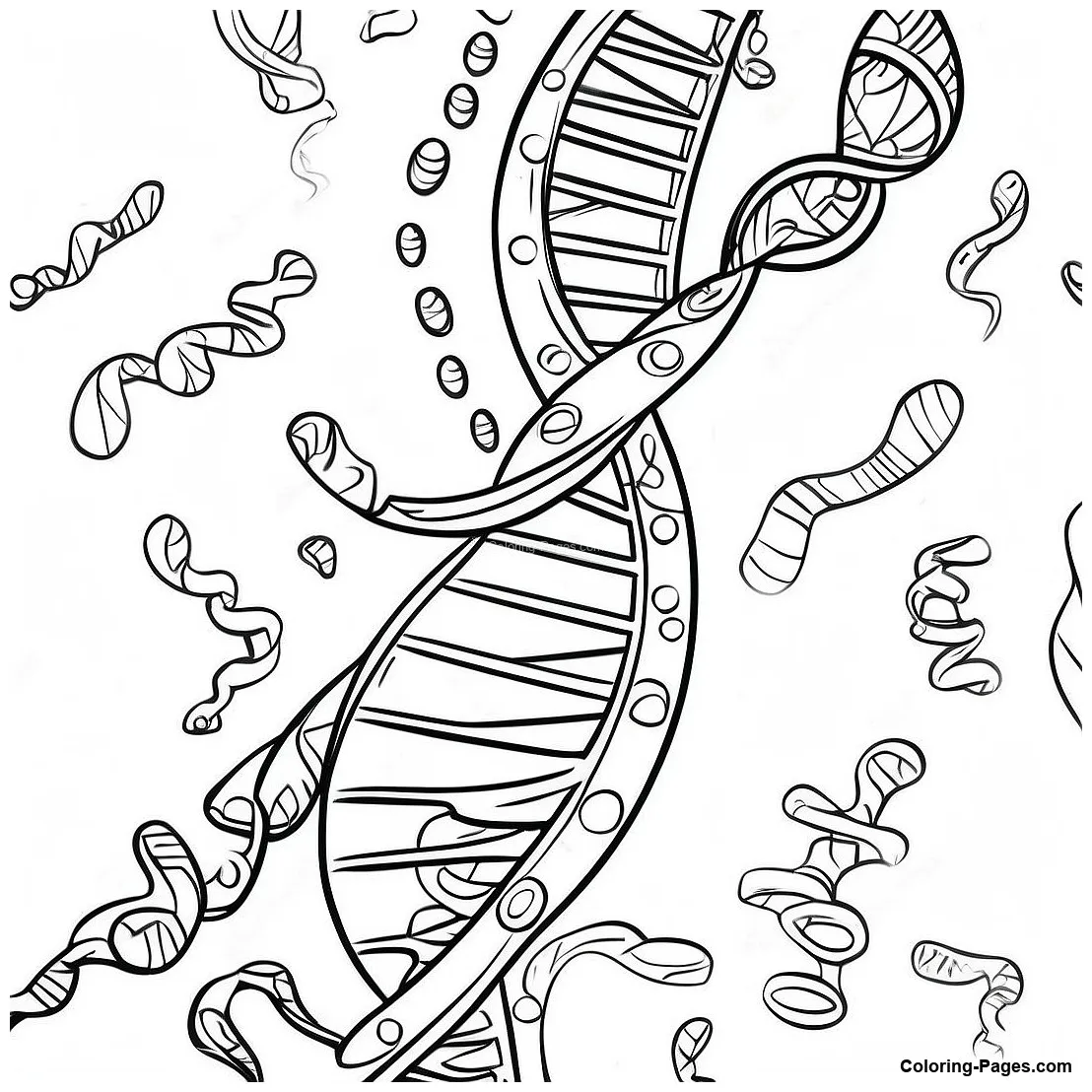 Colorful Dna Strand Coloring Page | Coloring-Pages.com