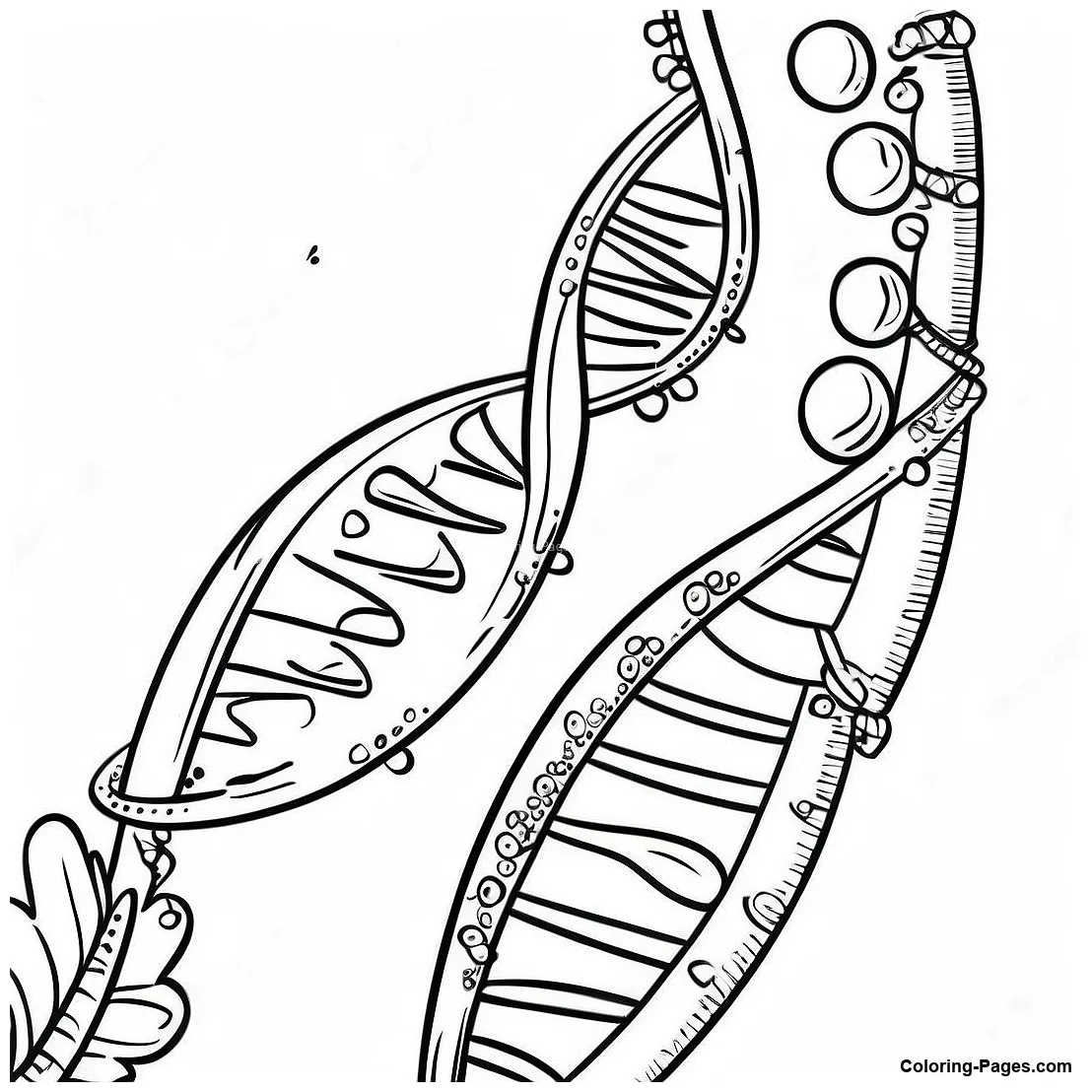 Colorful Dna Strand Coloring Page | Coloring-Pages.com