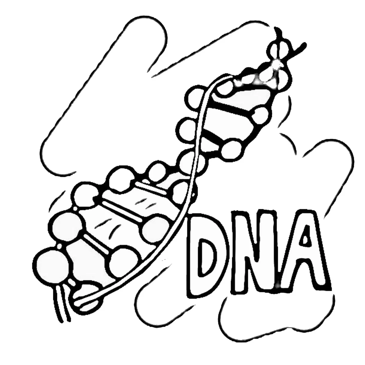 Dna Coloring Page at GetColorings.com | Free printable colorings pages