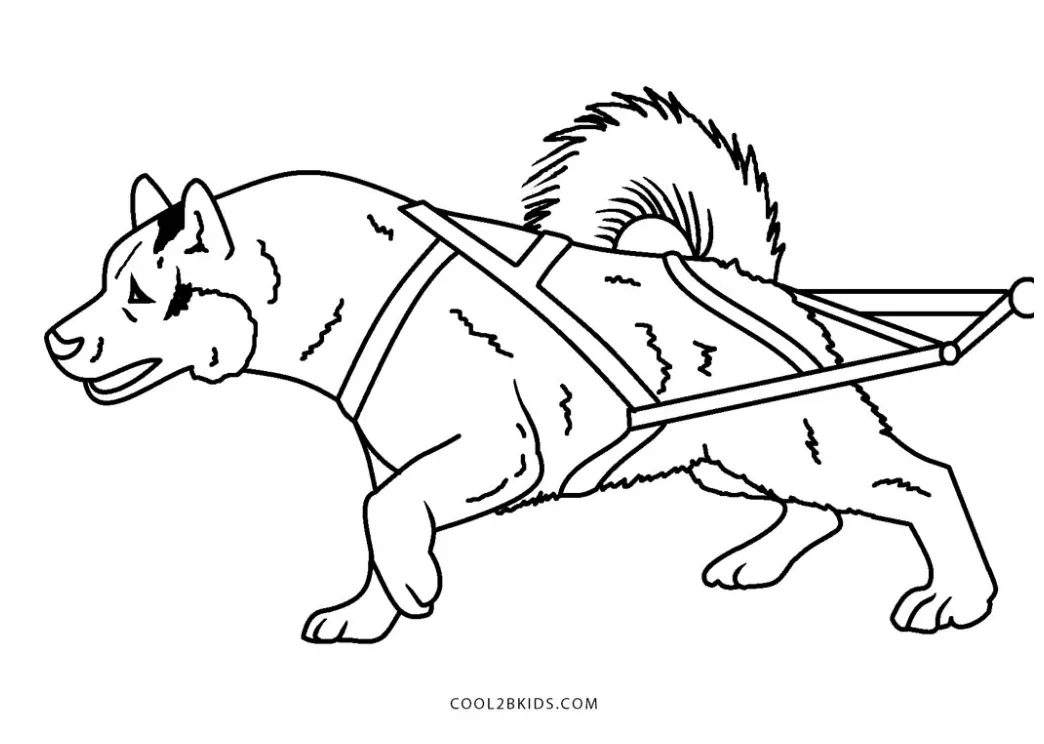 Free printable sled dog coloring pages for kids