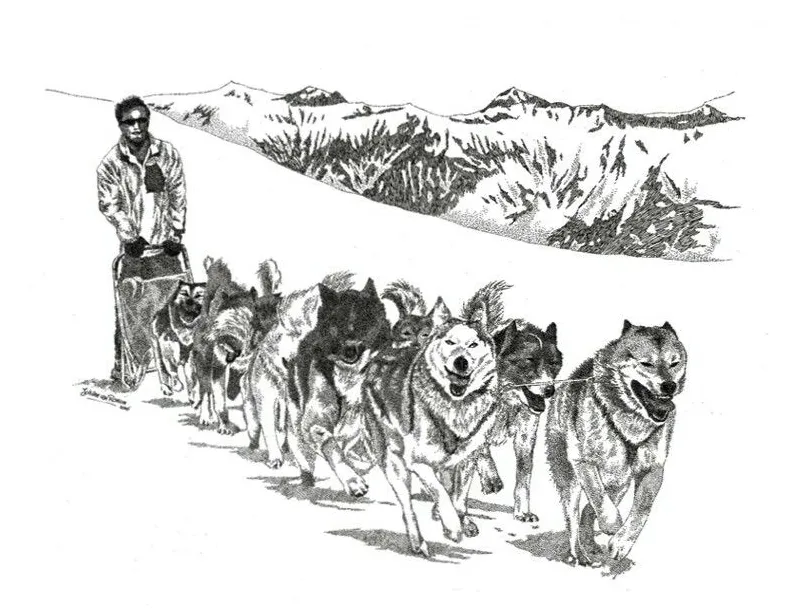 Sled dog coloring page