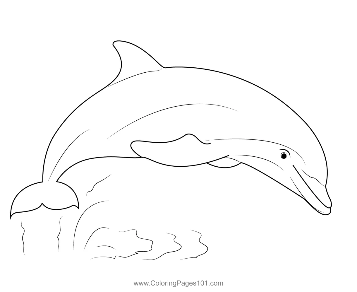 Dolphin show coloring page for kids free dolphins printable coloring