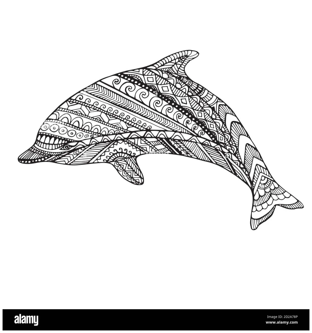 Coloring page dolphin stock vector & art alamy