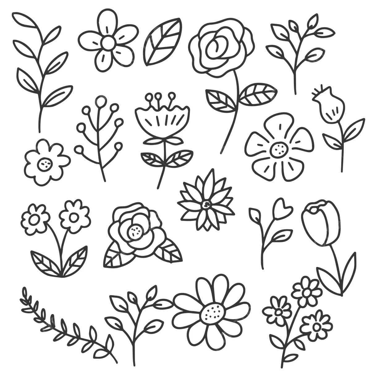 Set Of Flower Doodle Vector, Flower Drawing, Doodle Drawing, Flower