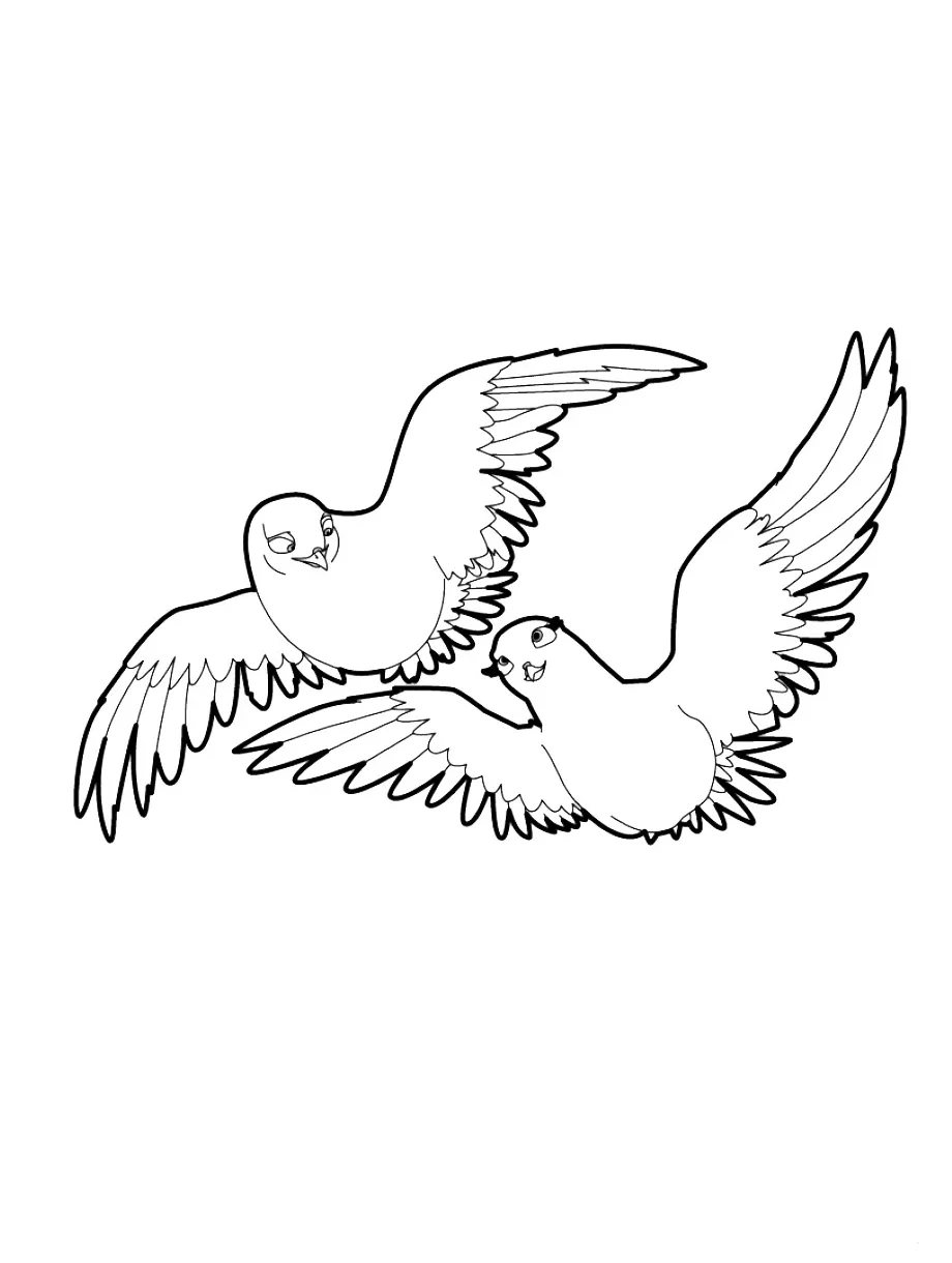 Dove coloring page