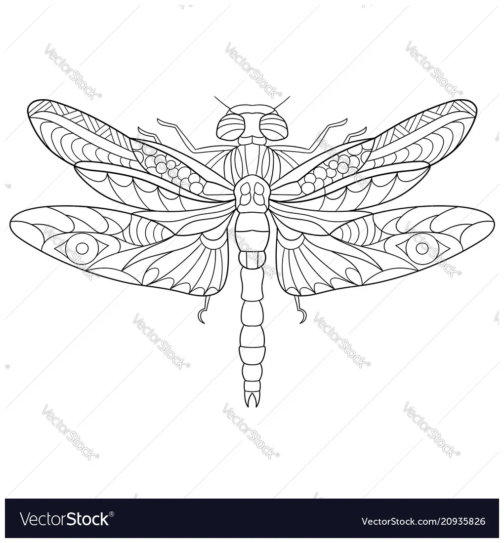 Dragonfly coloring page Royalty Free Vector Image
