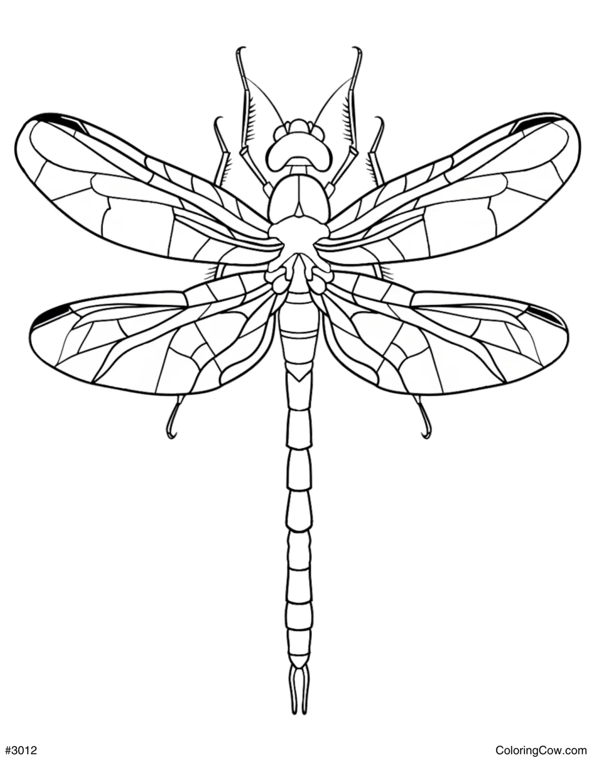 Dragonfly Coloring Page