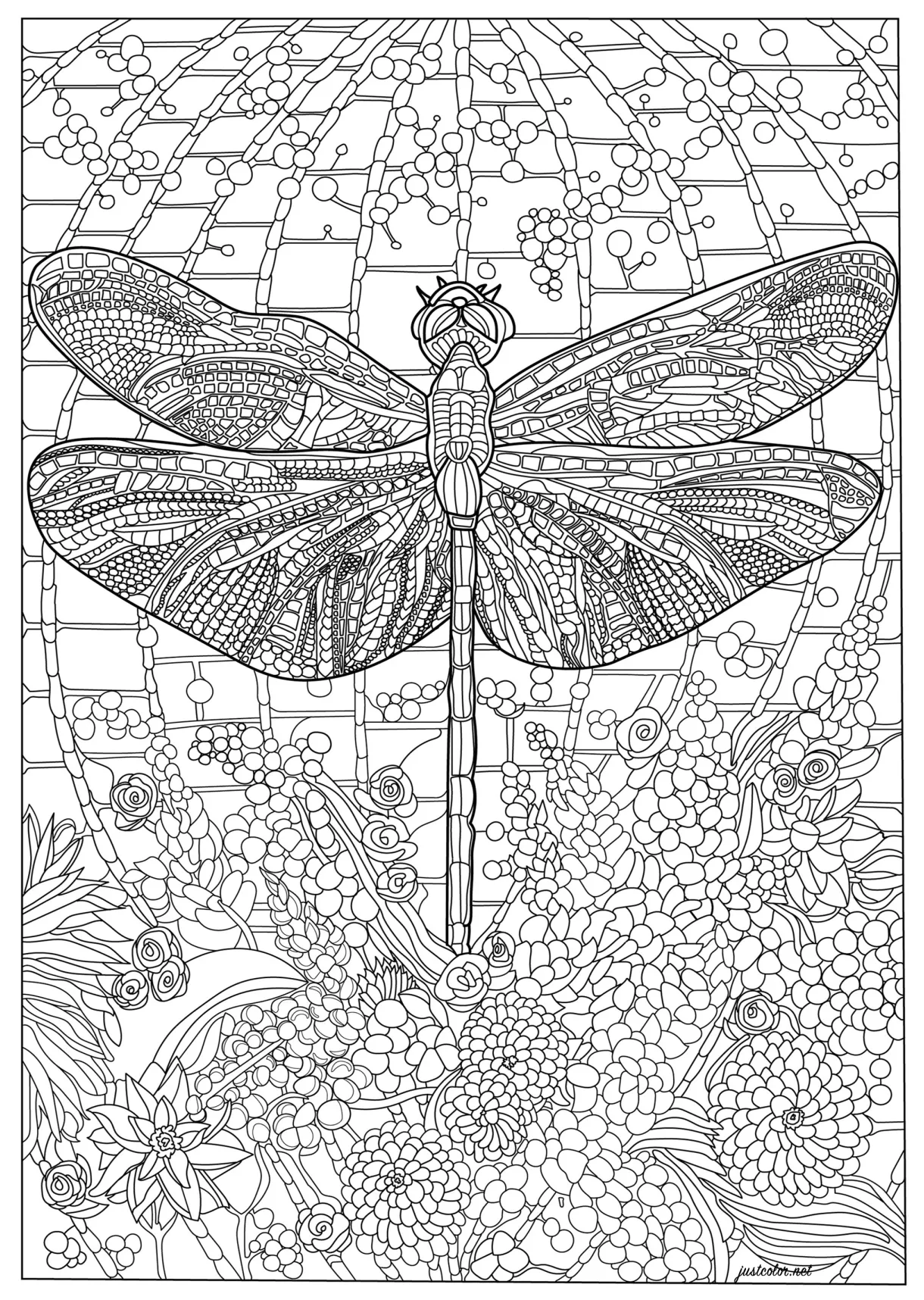 Dragonfly Coloring Page