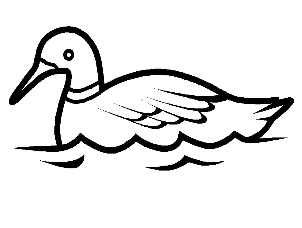 Duck Swimming Coloring Pages & coloring book.