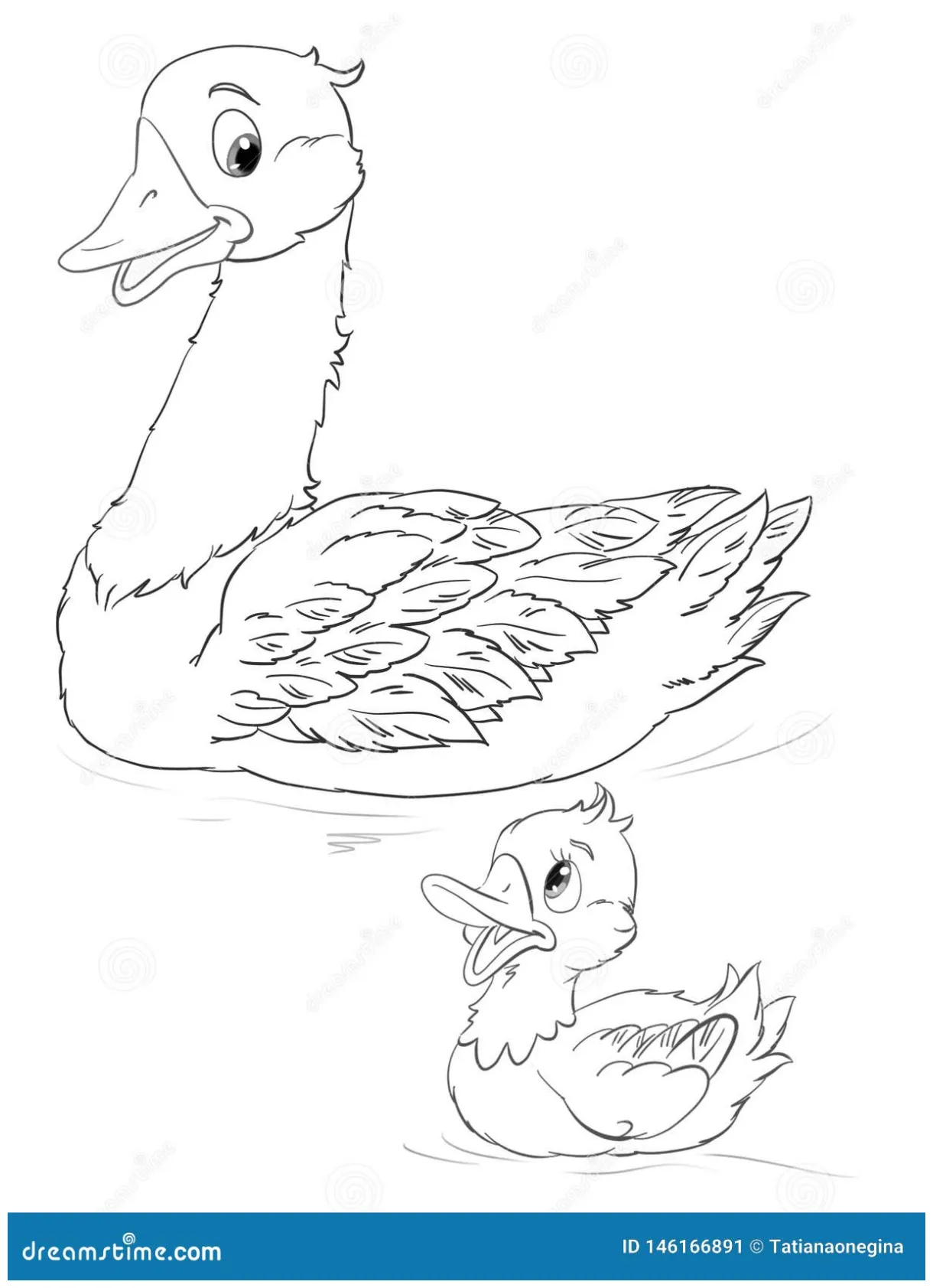 Duck and duckling swimming coloring page isolated illustration royalty