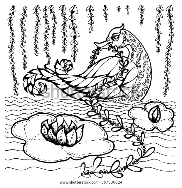 Printable coloring page duck bird swimming stock vector