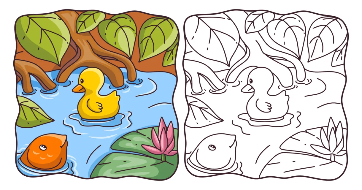 cartoon illustration swimming duck coloring book or page for kids