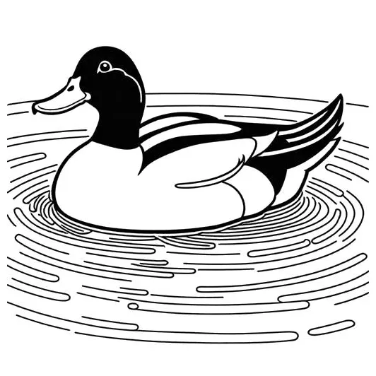 Swimming pond duck coloring page lulu pages printable coloring page