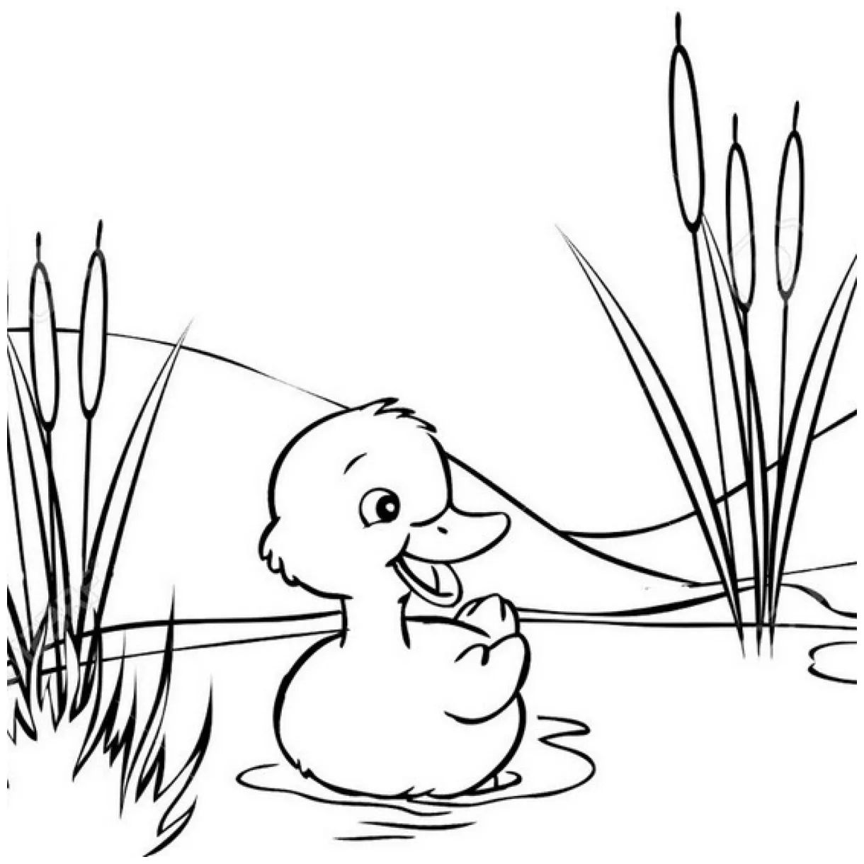 Duck Swimming Coloring Page Coloring Pages