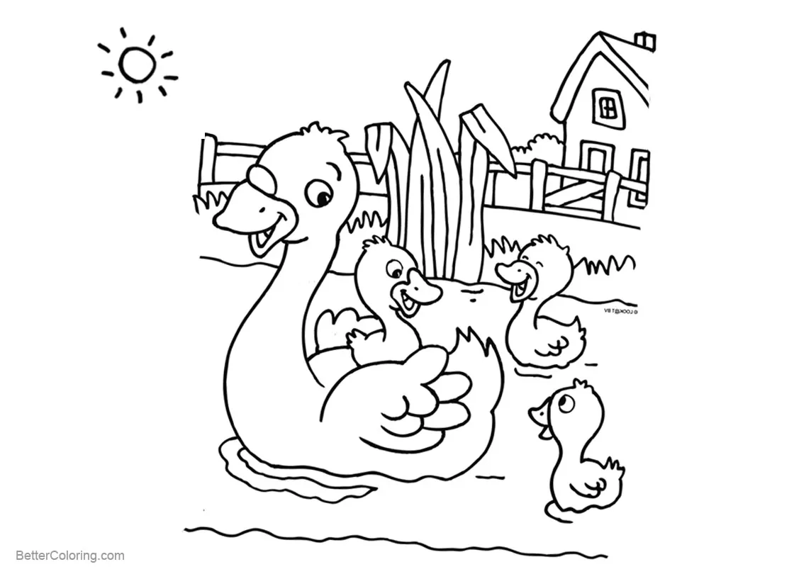 Pond coloring pages four ducks swimming free printable coloring pages