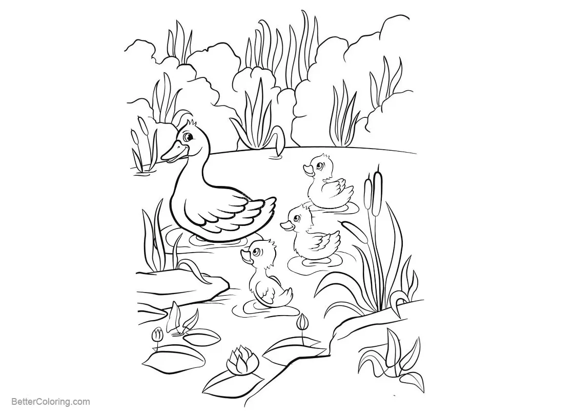 Pond coloring pages ducklings free printable coloring pages