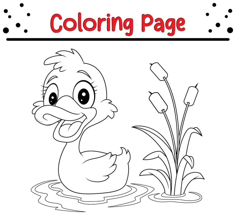 Pond coloring page vector art, icons, and graphics for