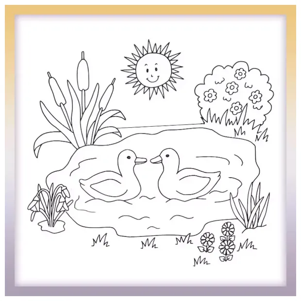 Ducks in the pond coloringbook.pics
