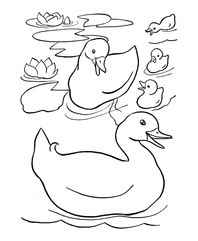 Duck pond coloring pages coloring pages