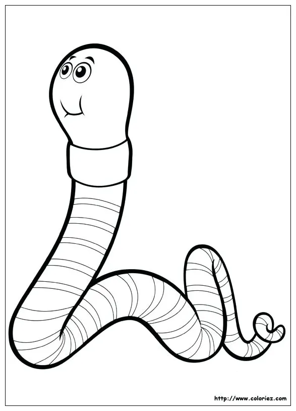 Earthworm Coloring Page at GetColorings.com | Free printable colorings