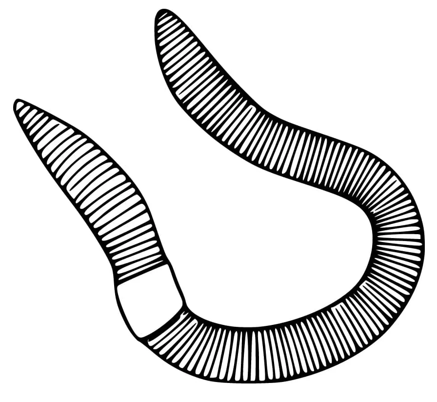 Earthworm Printable