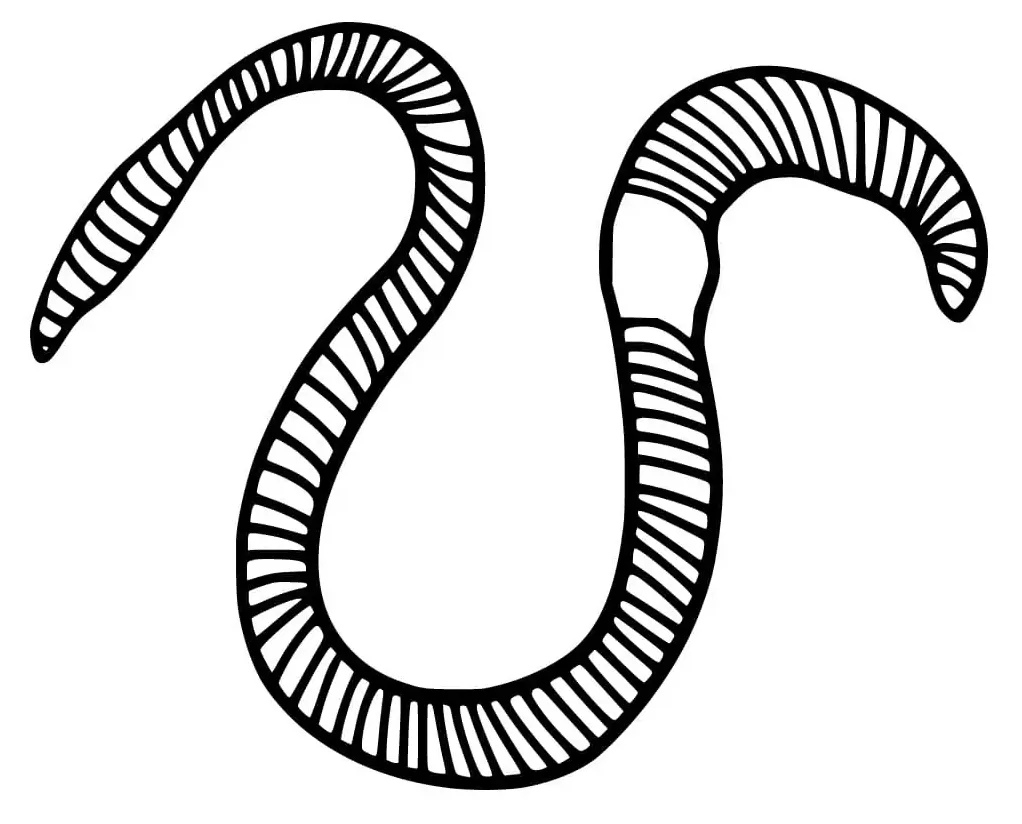 Earthworm Printable