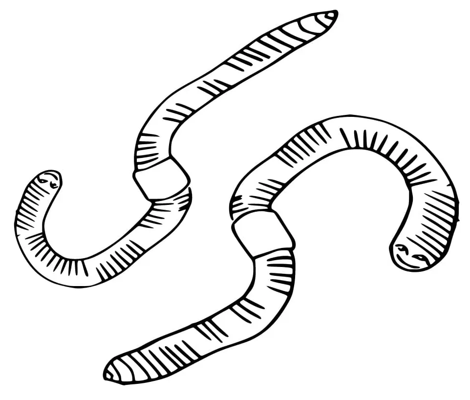Earthworm Printable Coloring Page - Free Printable Coloring Pages for Kids