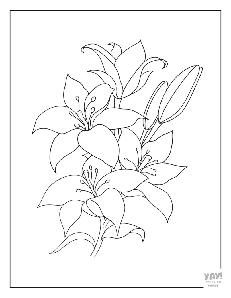 Printable easter lily coloring page dinosaur coloring pages printable