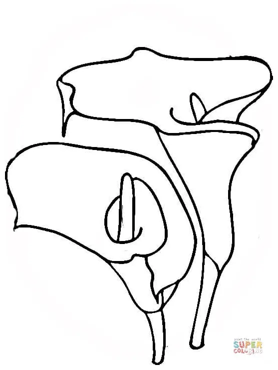 Free printable coloring pages