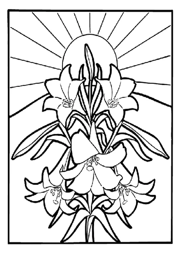Coloring Pages | Easter Lilies Coloring Page