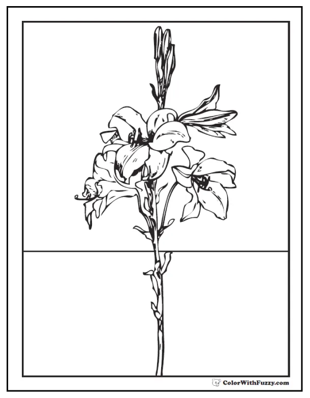 Easter Lilies Coloring Pages Coloring Pages