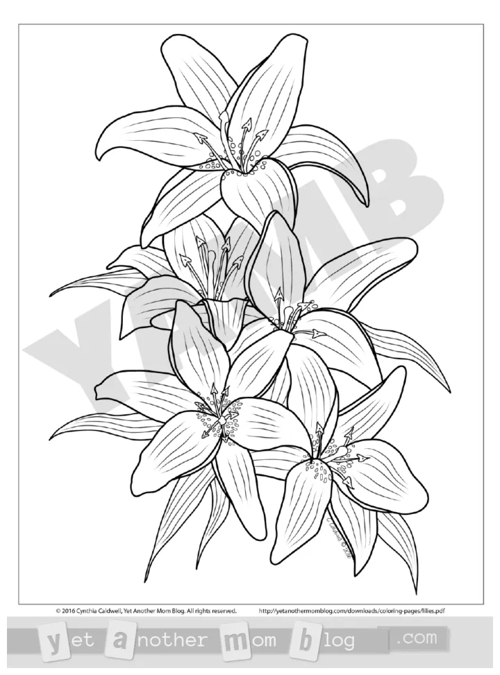 S coloring pages printable coloring page