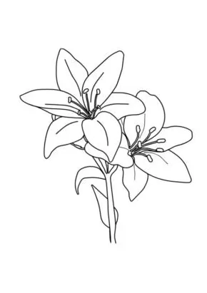 Free easter lily coloring page