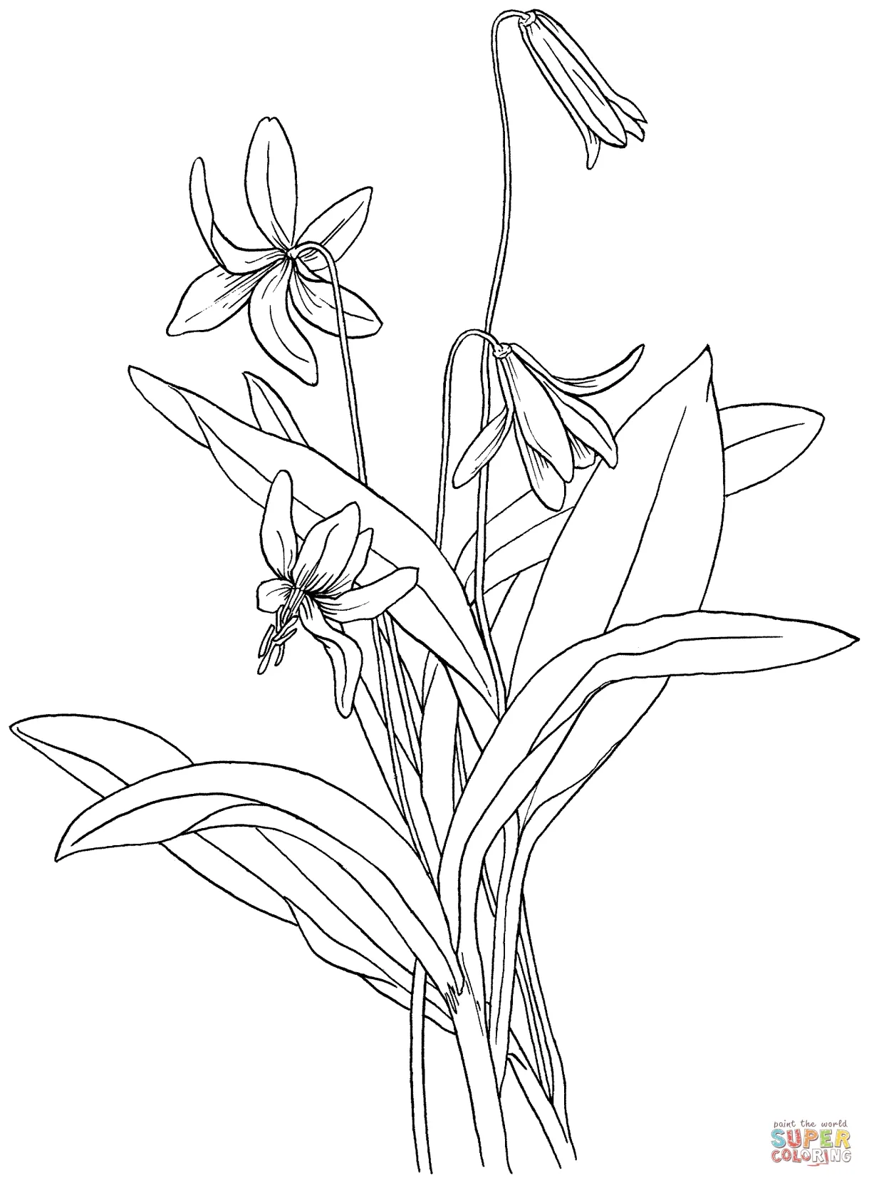 S coloring pages
