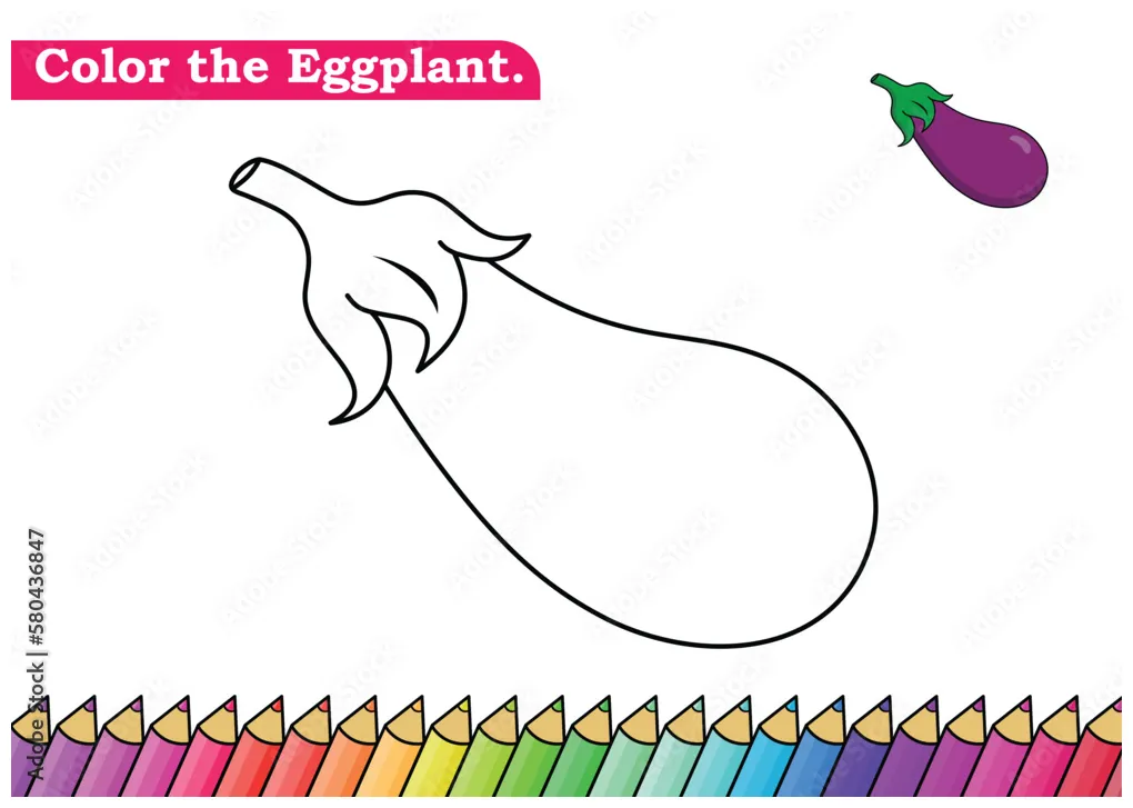 Isolated coloring book. color pages for kids