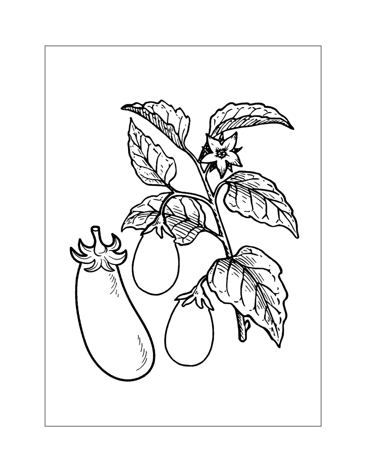 S printable coloring pages. free