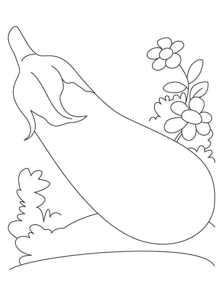 Eggplant for free coloring page download, print or color online for free