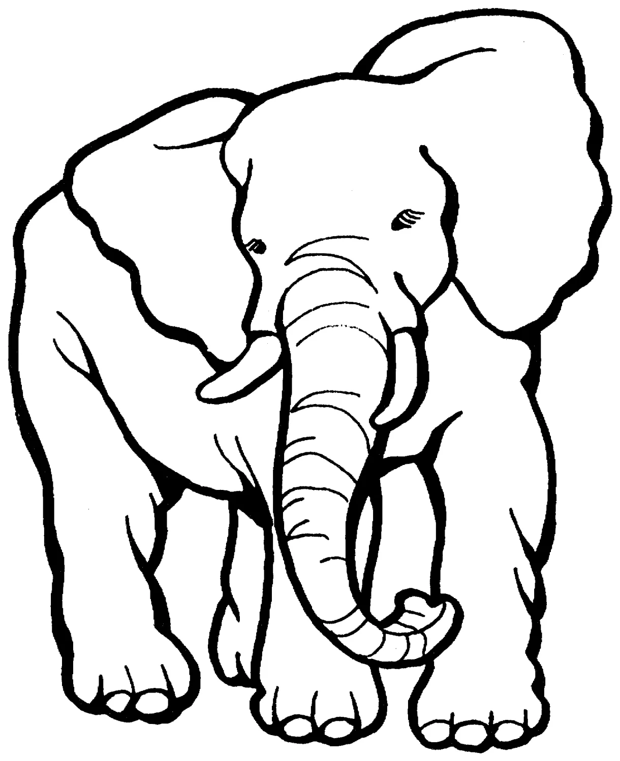 Clipart panda free clipart s