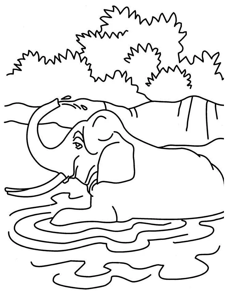 Coloring pages of elephant in water & coloring book. 6000+ coloring pages