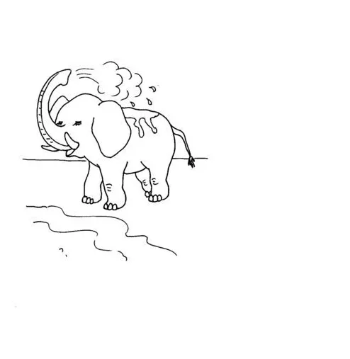 Black and white coloring pages of elephant spraying water for kids