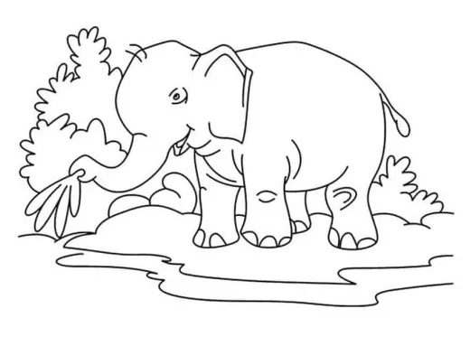 Black and white coloring pages of elephant spraying water realistic