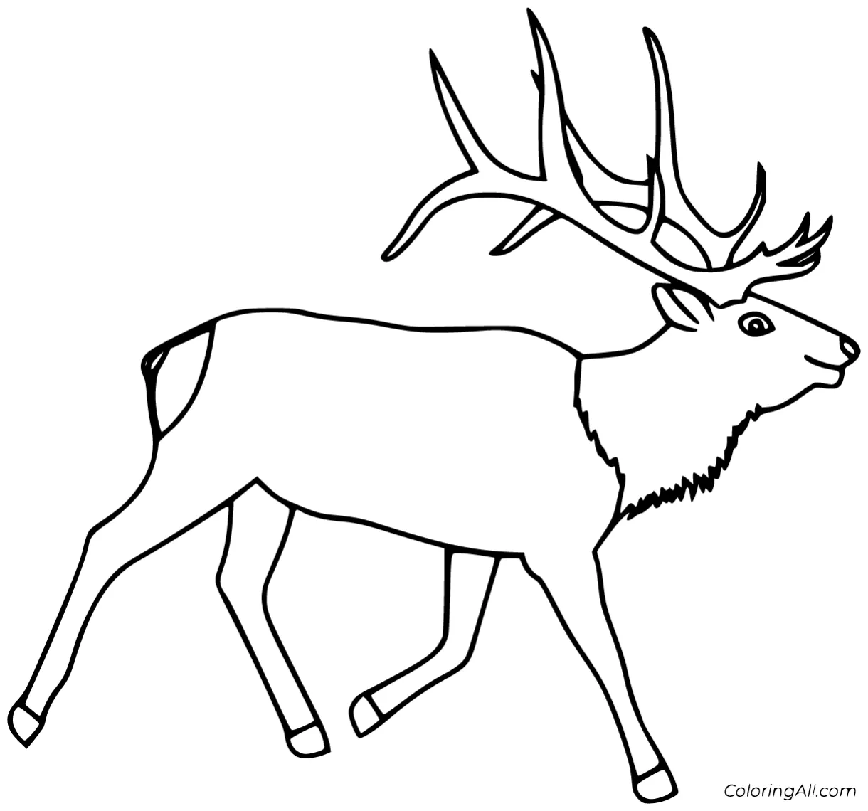 Elk Coloring Pages (21 Free Printables) - ColoringAll