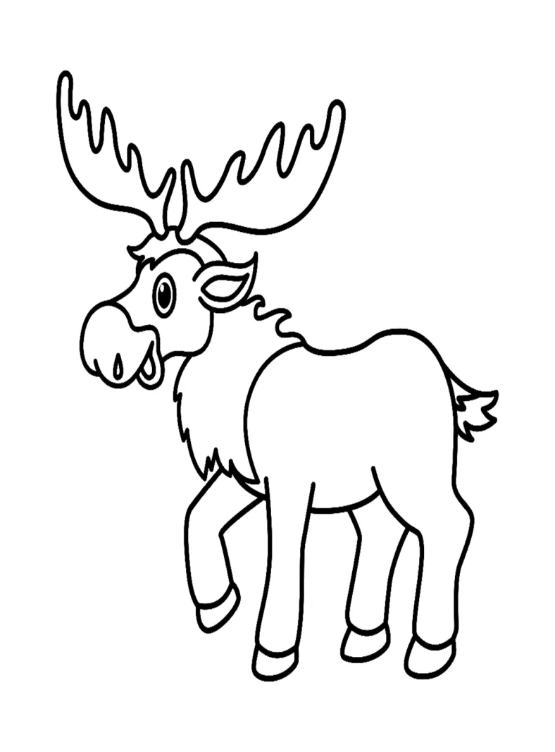 29 Free Printable Elk Coloring Pages