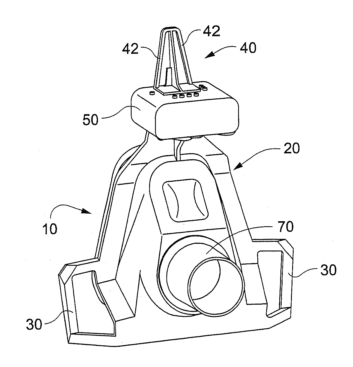 Free coloring page with kidney and excretory system